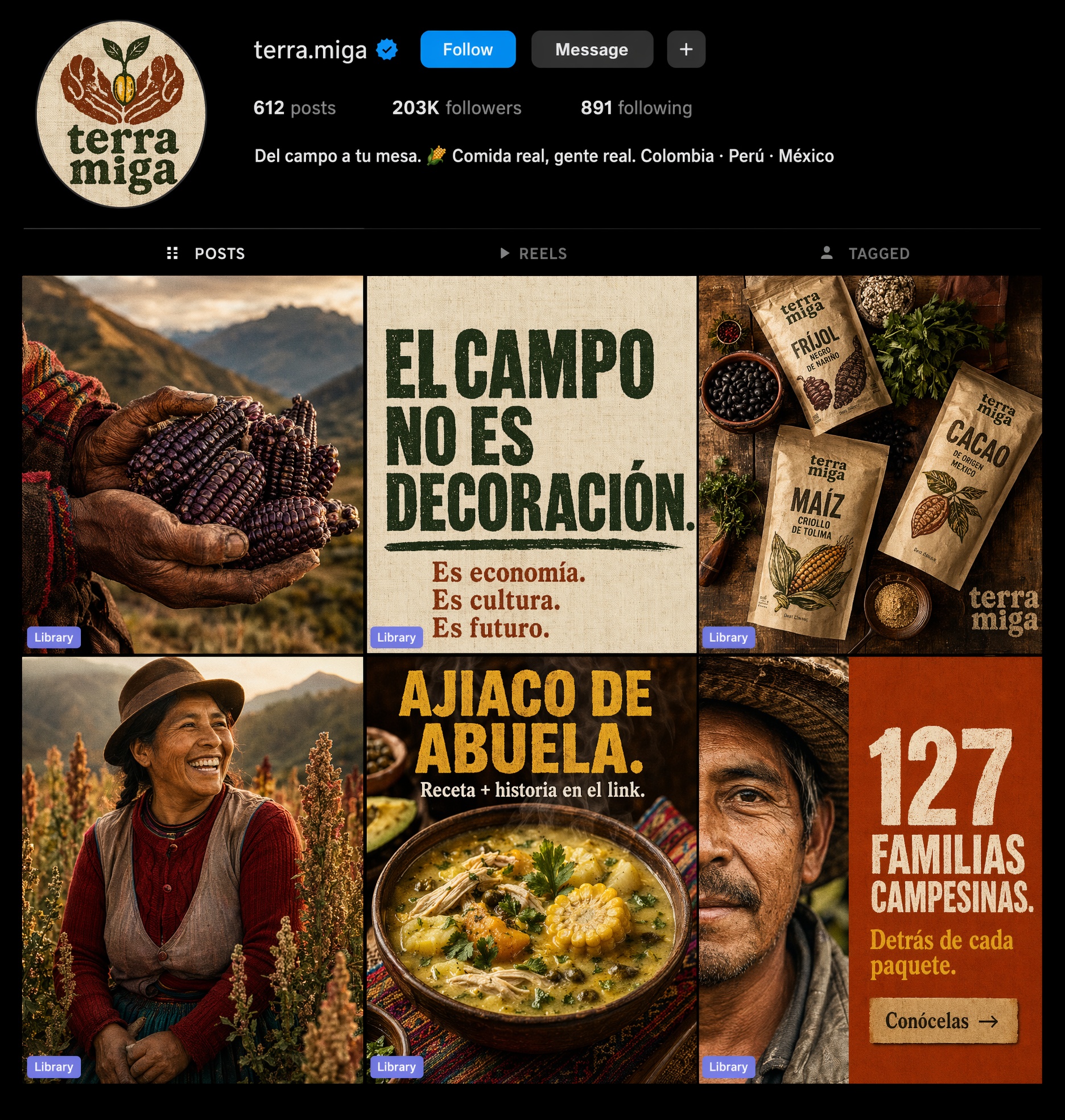 Terra & Miga: Instagram feed run by Reelistic